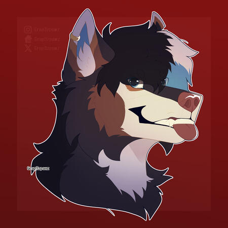 Bust