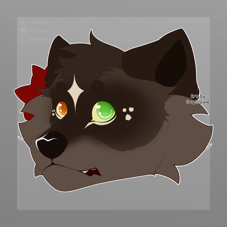 Headshot
